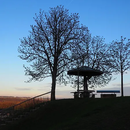Burgvier In Der Burg