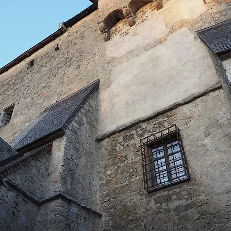 Burgvier In Der Burg *