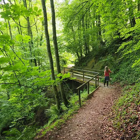 Burgvier In Der Burg * Tittmoning